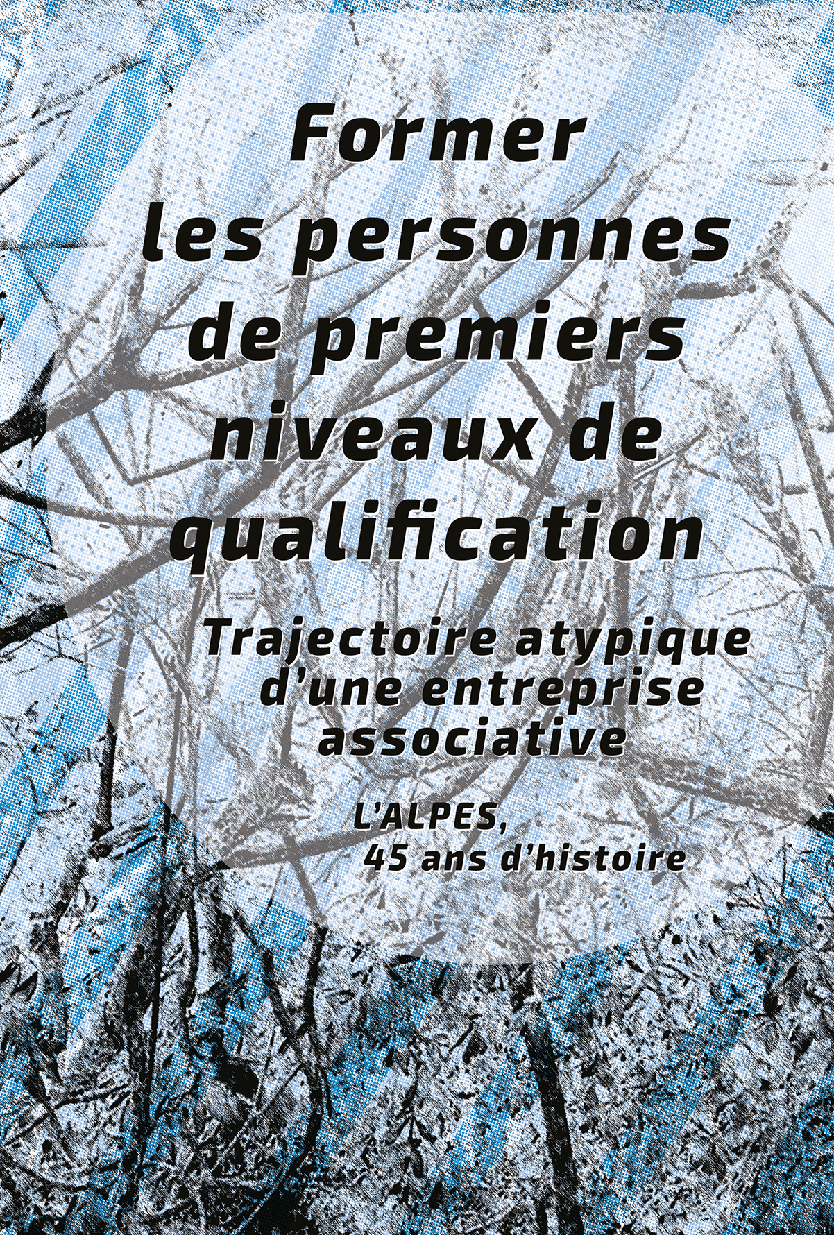 Couverture de Former les personnes de premiers niveaux de qualification